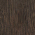 Raquel Welch Crowd Pleaser Wig