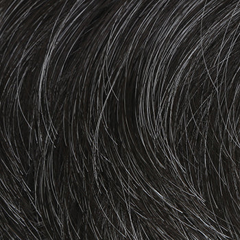 HIM Collection Dignified Men's Wig