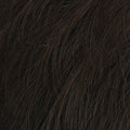 HIM Collection Gallant Men's Wig