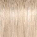 Raquel Welch Classic Cut Wig Hairpiece New With Tags - Average