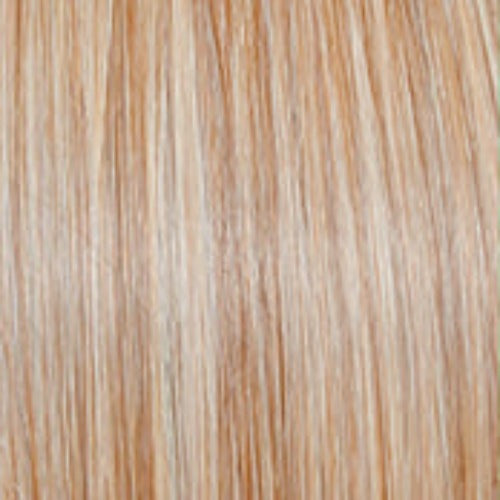 Raquel Welch Big Spender Wig