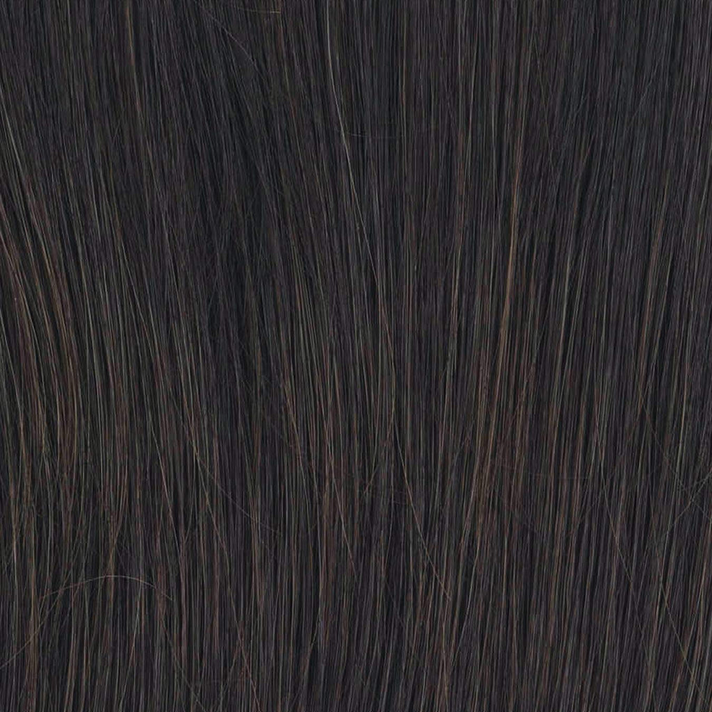 Raquel Welch Flip the Script Wig