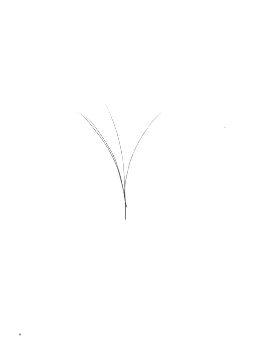 VIP V Type Easy Fan Lash Extensions 0.05 mm C Curl | 12-Line 8 mm Tray