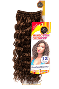 Femi Collection Mambo Twin Open Loop Deep Twist Braid 12 in