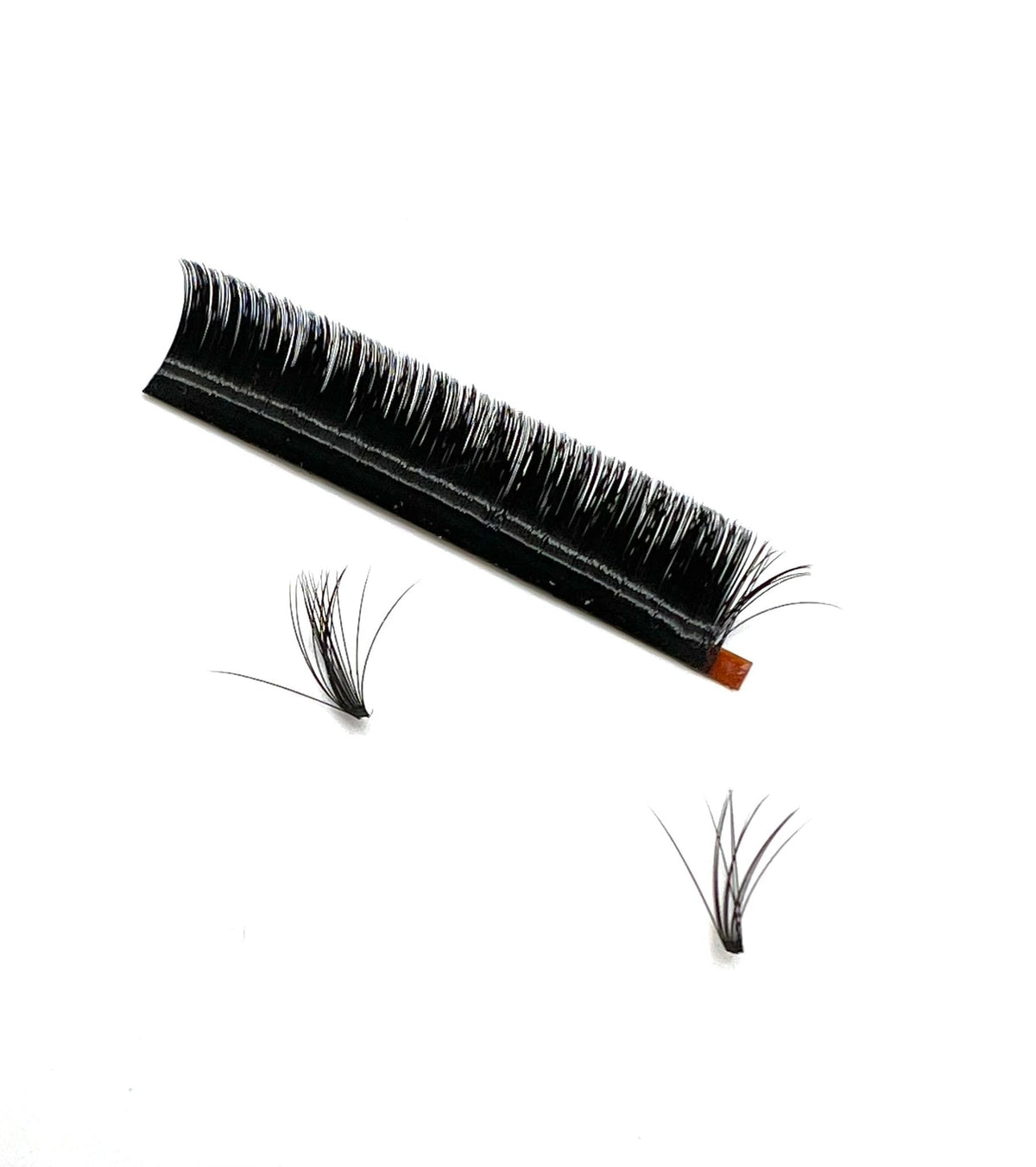 VIP Quick Fan Lash Extensions 0.07 mm C Curl | 12-Line Tray