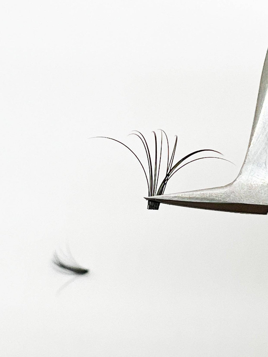 VIP Quick Fan Lash Extensions 0.07 mm C Curl | 12-Line Tray