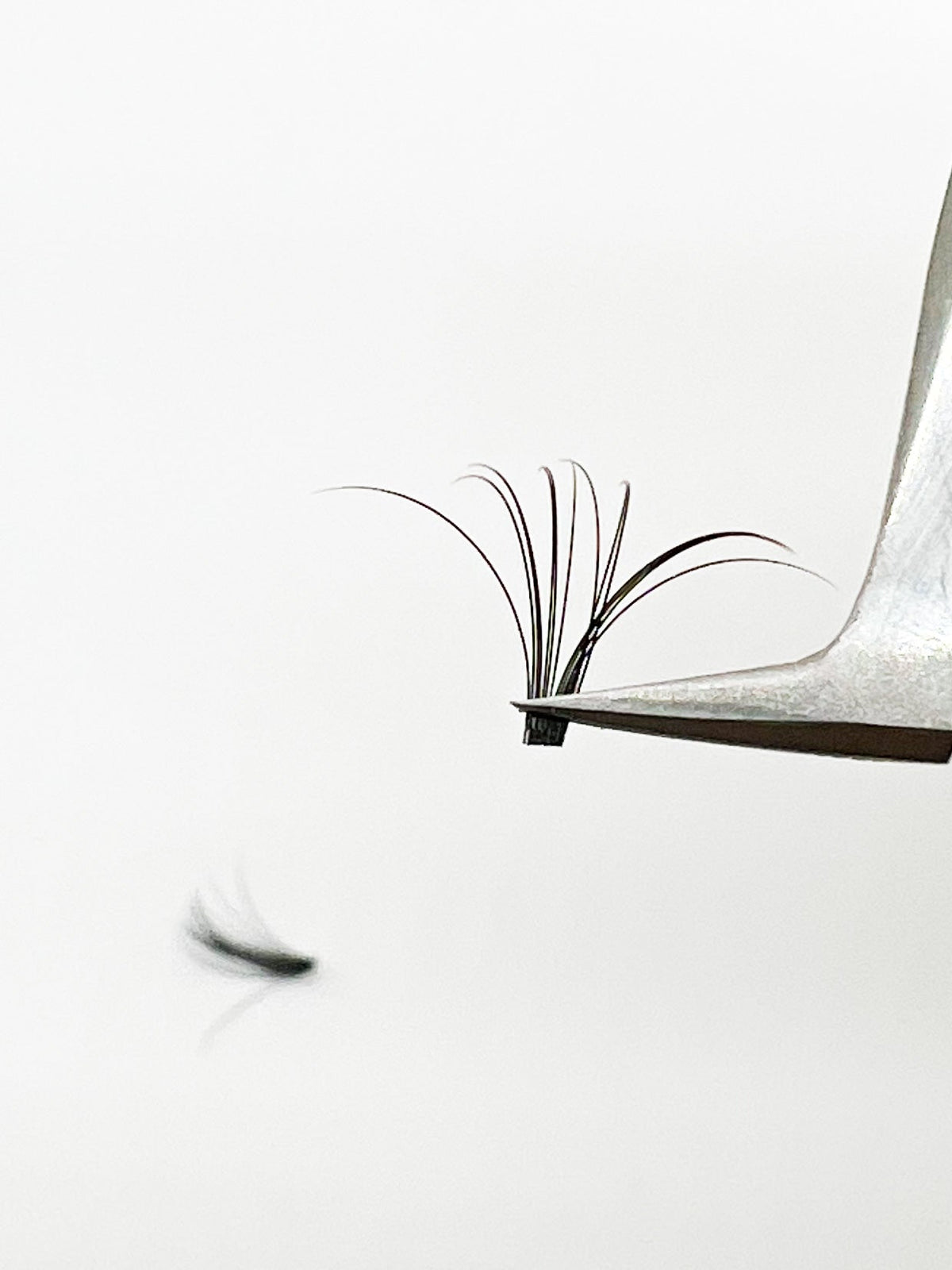 VIP Quick Fan Lash Extensions CC & DD Curl 0.05 & 0.07 mm